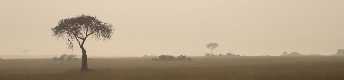 Jenni's Africa